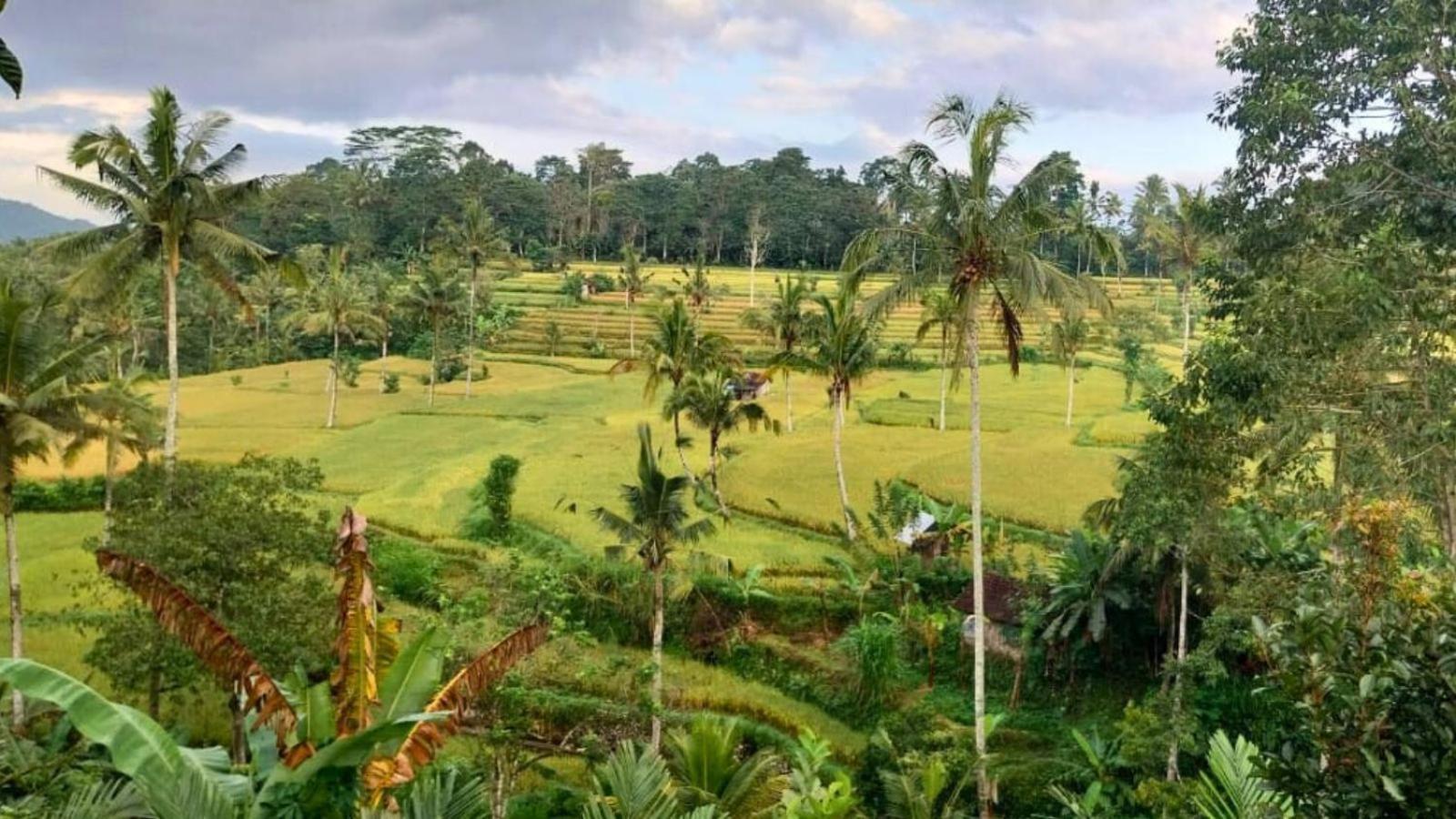 Pondok Sapta Sallaca Selat Eksteriør billede